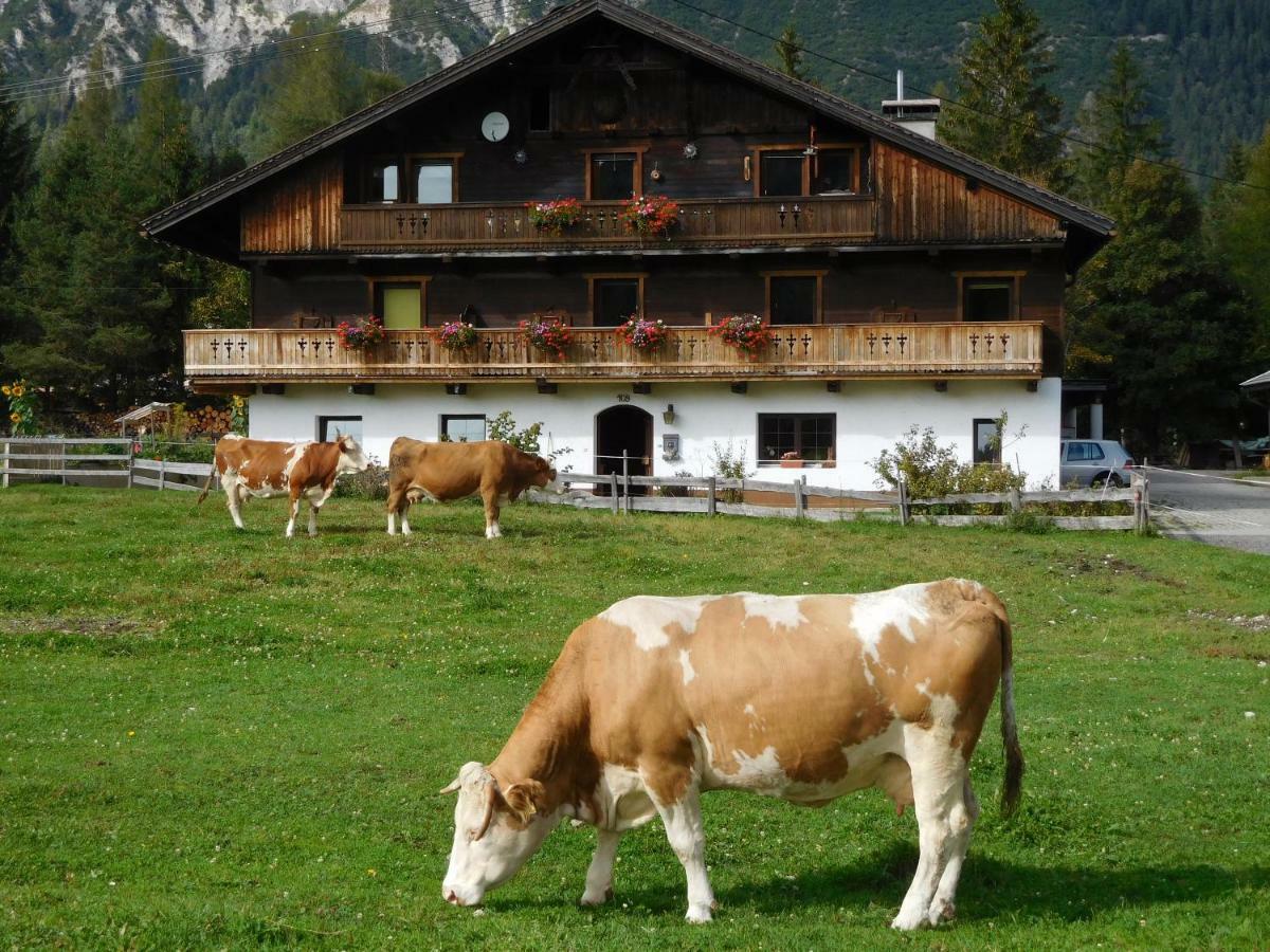 Thoamlhof Appartement *